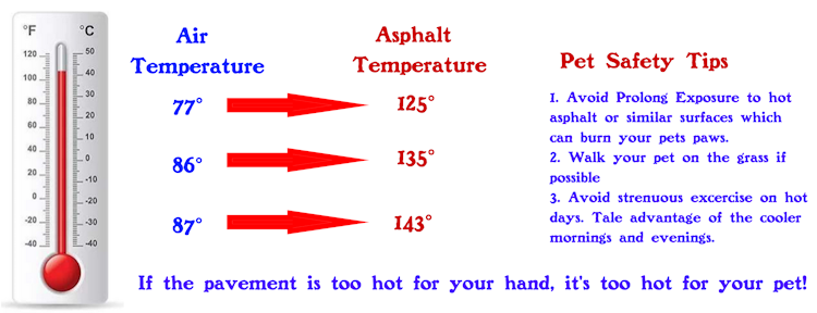 Pet safety: Desert dog hiking. Air temperatures v/s Asphalt temperatures