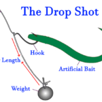 Drop Shot Rig