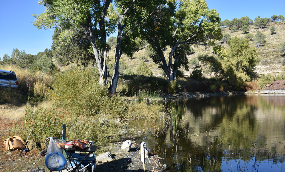 Seneca Lake Arizona – Northwest side of the lake. Shallow end here.