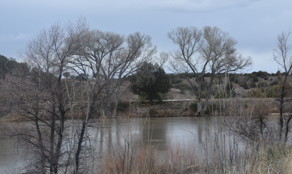 Seneca Lake Arizona - southwest side of the lake. Shallow end here.