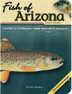 Fish of Arizona Field Guide (Fish Identification Guides)