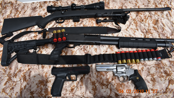 Basic Prepper firearms collection