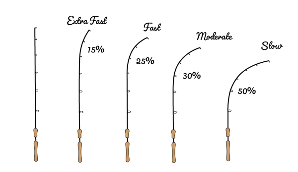 Fishing Rod Action Chart