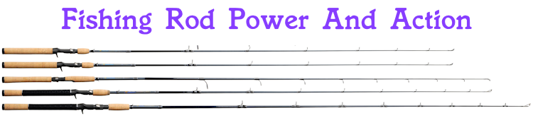 Fishing Rod Power And Action