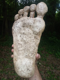 Bigfoot Casting