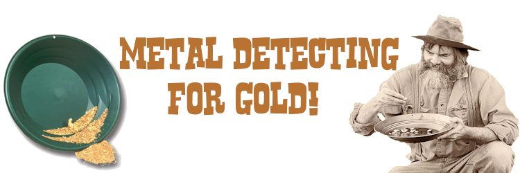 Metal Detecting For GOLD!